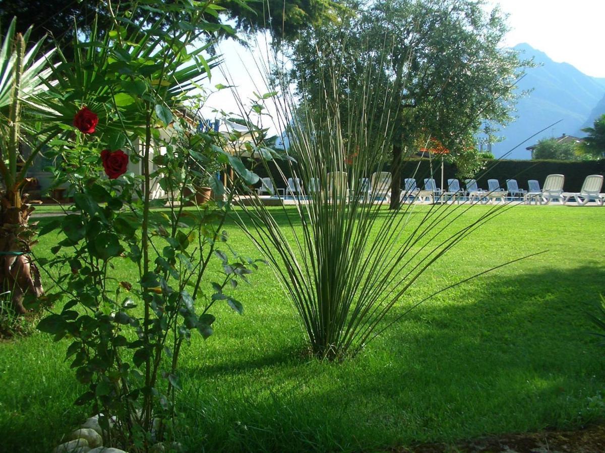 Hotel Villa Verde 托尔博莱 外观 照片